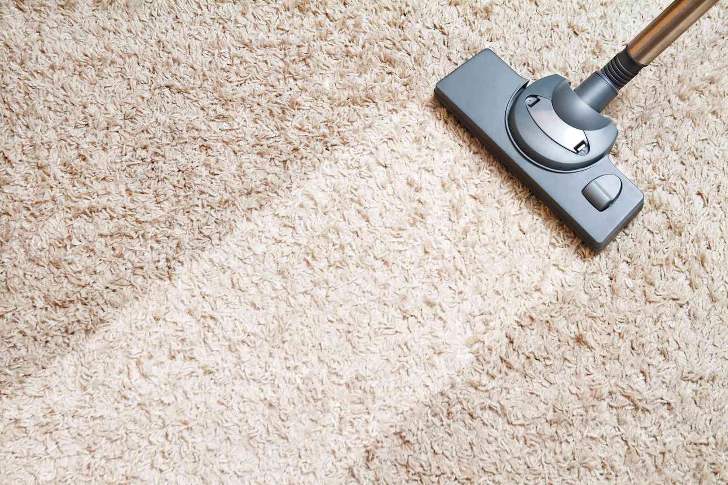 Best Carpet Cleaning Method For Allergies